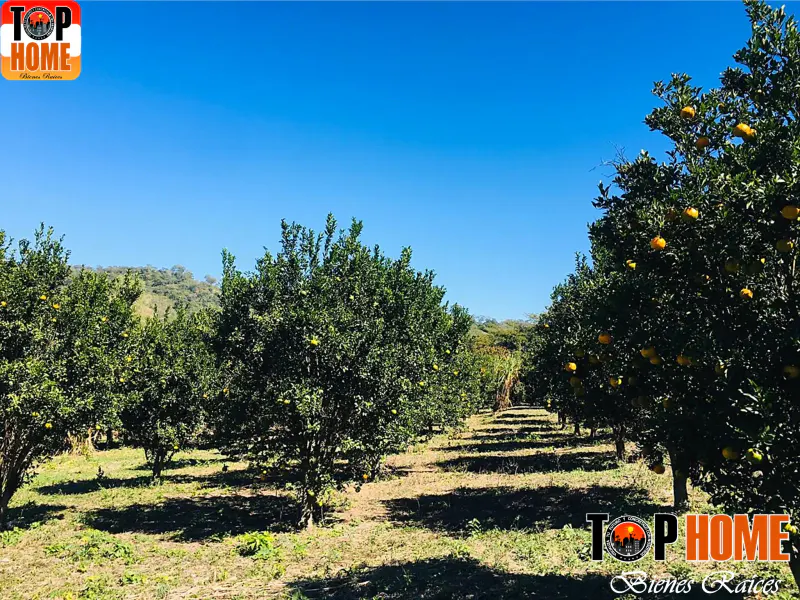 Foto 6 de Hermosa Propiedad en Venta en Jorochito\ Se Permuta
