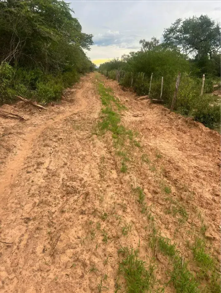 Foto 3 de Inmueble # 398 Propiedad de 2028 Hectareas en Boyuibe