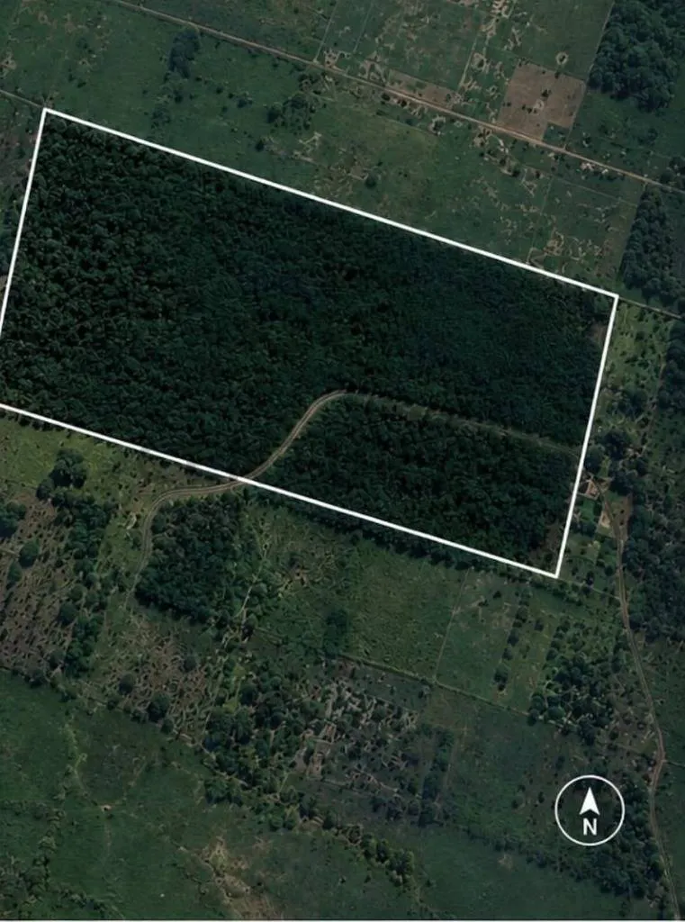 Foto 6 de Terreno en Venta Propiedad Los Mangales Zona San Ignacio del Sara