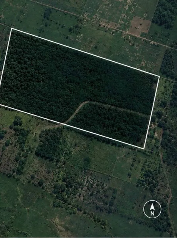 Foto 6 de Terreno en Venta Propiedad Los Mangales Zona San Ignacio del Sara
