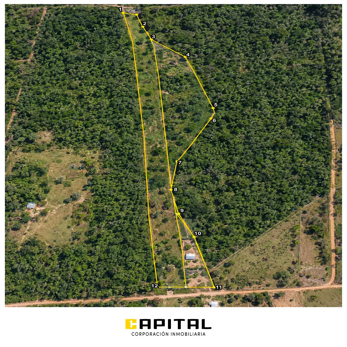 Foto 4 de Terreno en venta en San Ignacio de Velasco