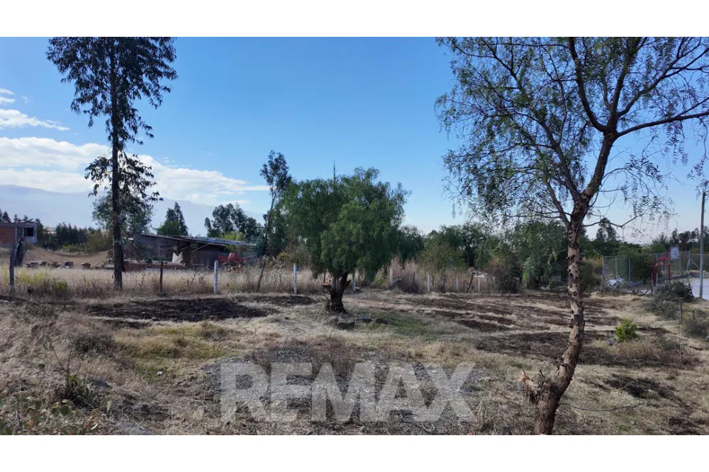 Foto 7 de Terreno en Venta Pairumani – Vinto