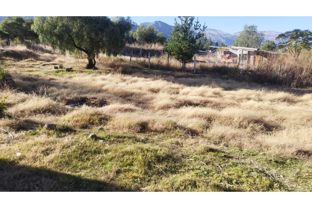 Foto 3 de Terreno en Venta Pairumani – Vinto