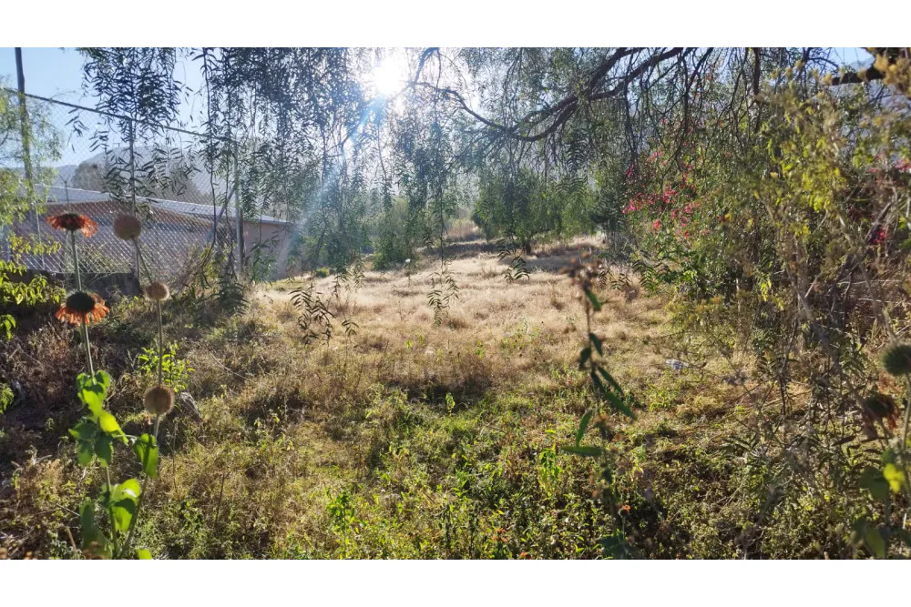Foto 2 de Terreno en Venta Pairumani – Vinto