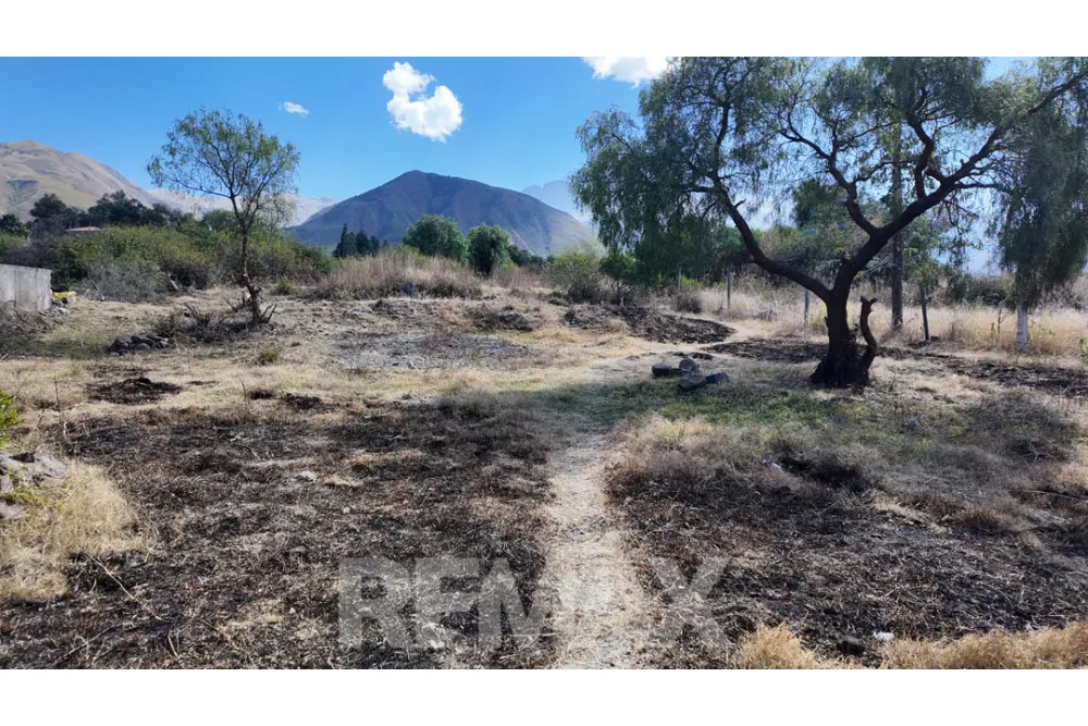 Foto 9 de Terreno en Venta Pairumani – Vinto