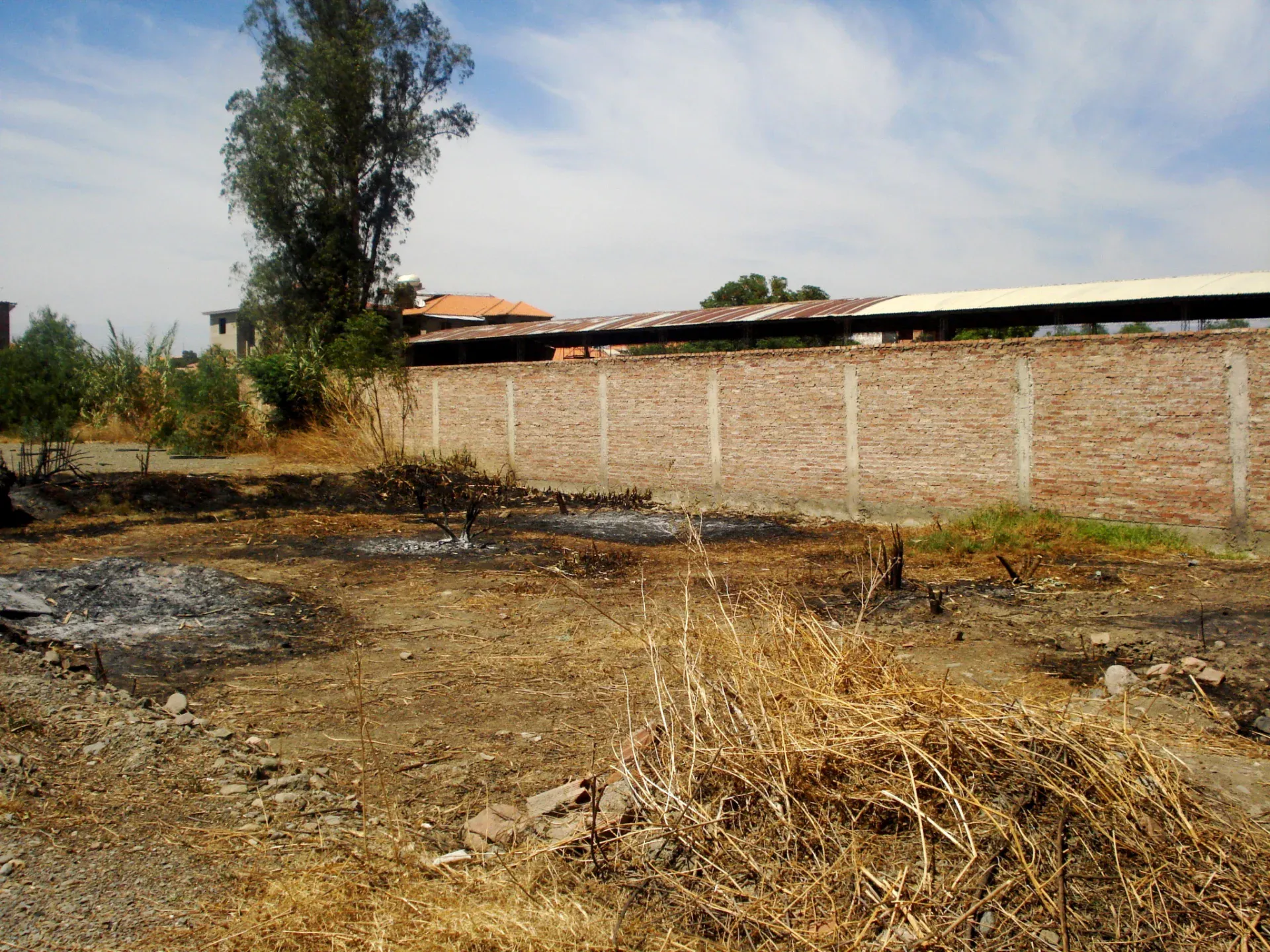 Foto 4 de Lote Amplio