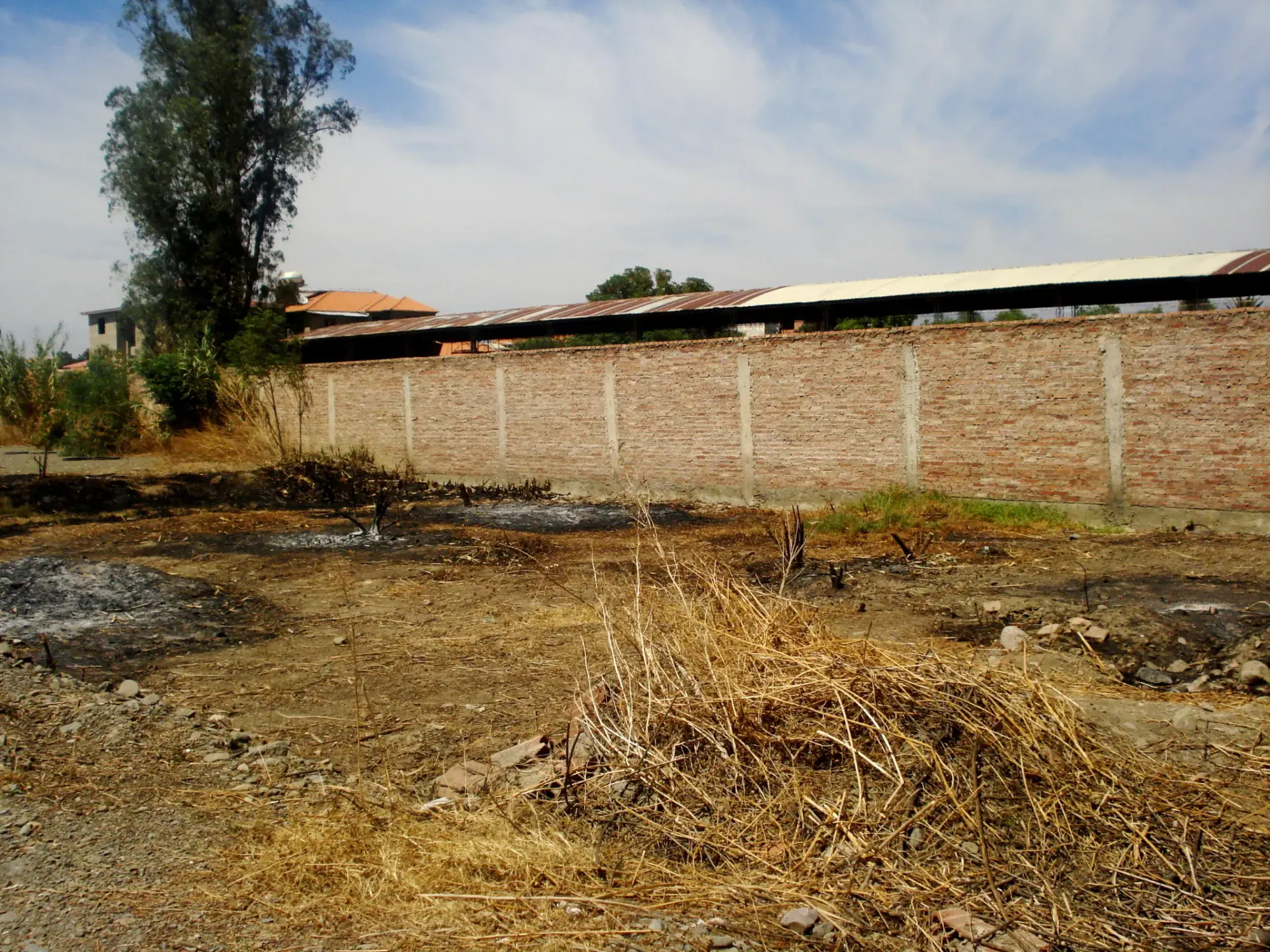 Foto 3 de Lote Amplio