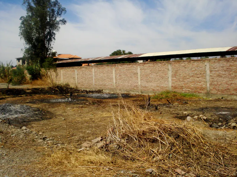 Foto 6 de Lote Amplio