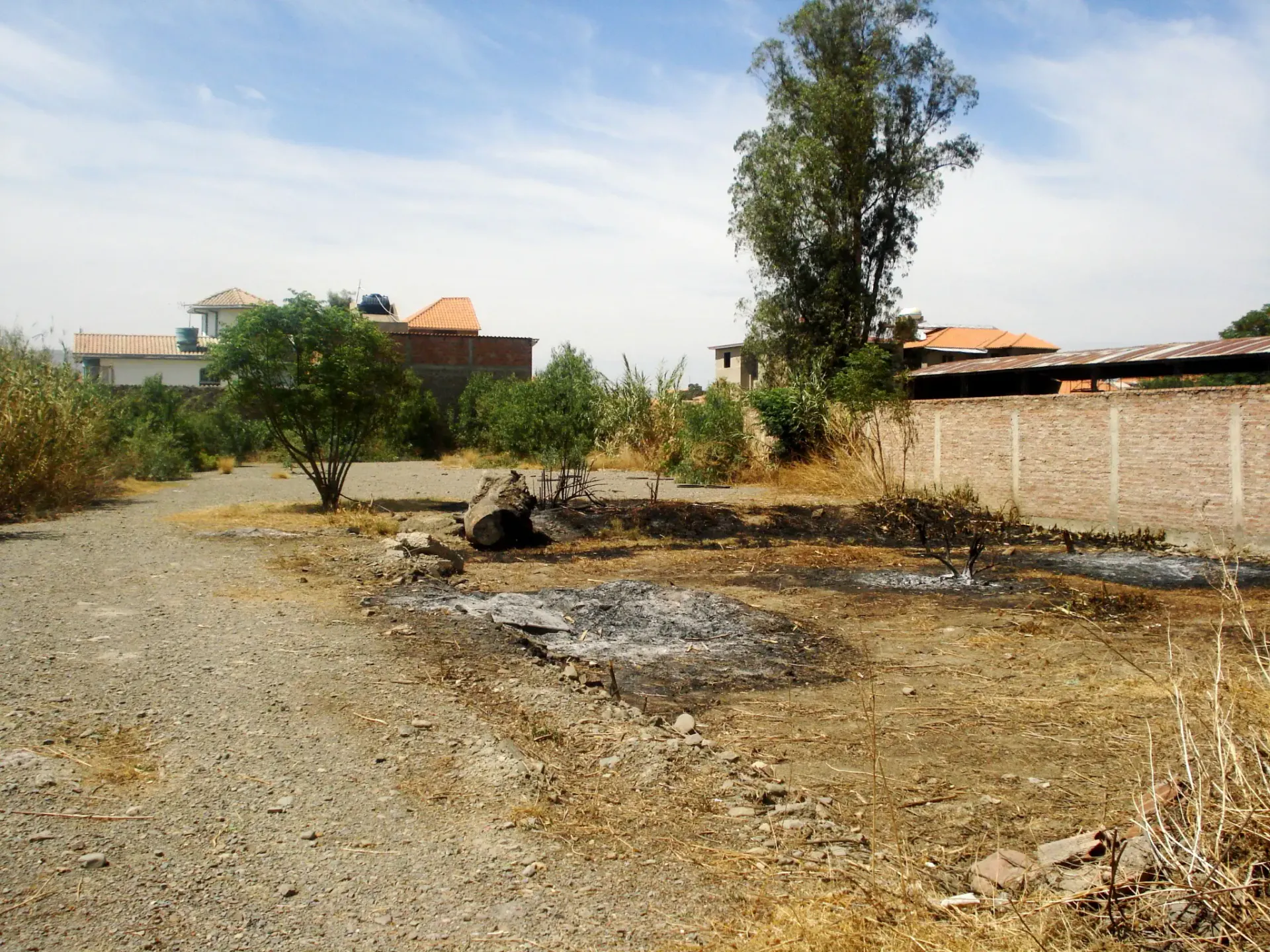 Foto 2 de Lote Amplio