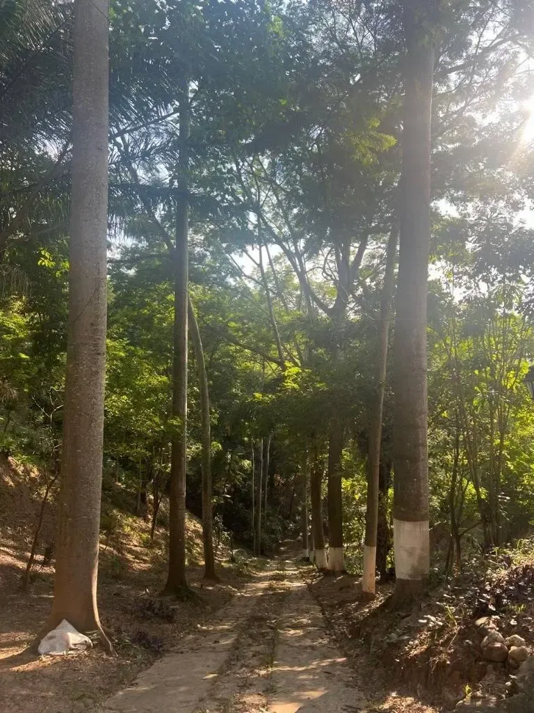 Foto 2 de Quinta en Venta - Municipio del Torno