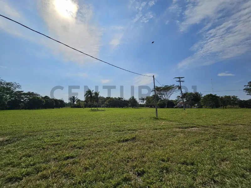 Foto 17 de Casa Quinta en Venta en Colpa Belgica - Zona Norte