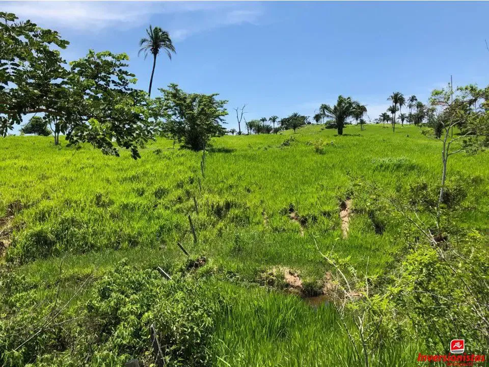 Foto 4 de Propiedad Ganadera en Venta - San Javer