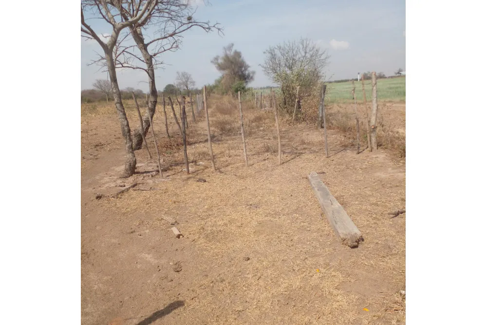 Foto 4 de Terreno Pailon 3 Hectareas