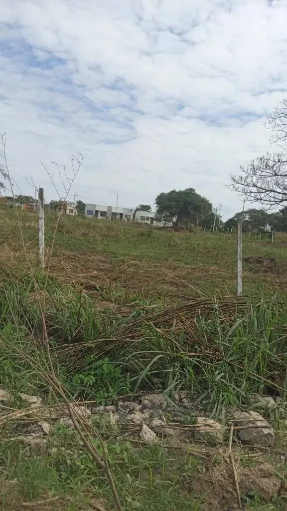 Foto 2 de Terreno en venta en Puerto Quijarro