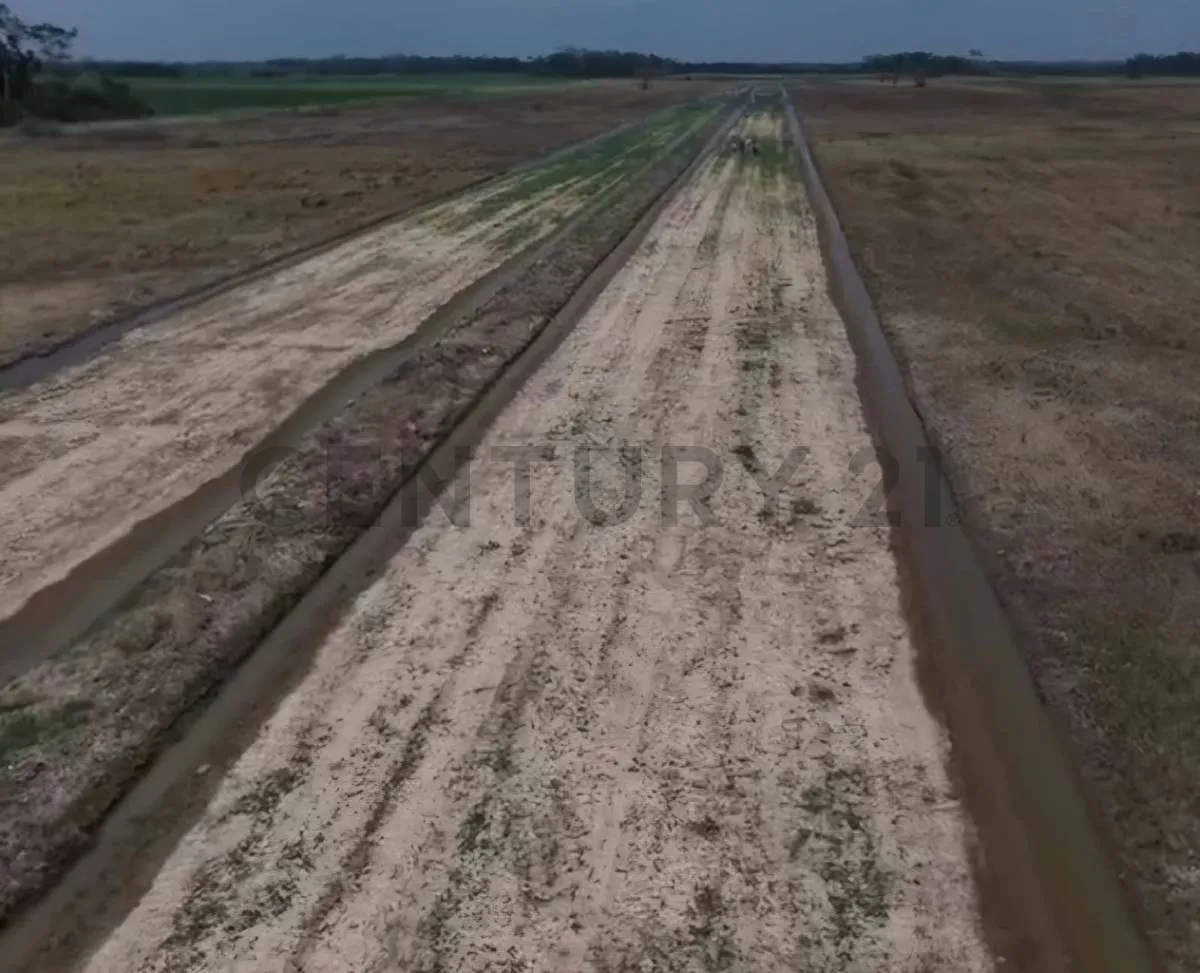 Foto 16 de El Futuro Productivo del Beni Ya Está en Marcha!!