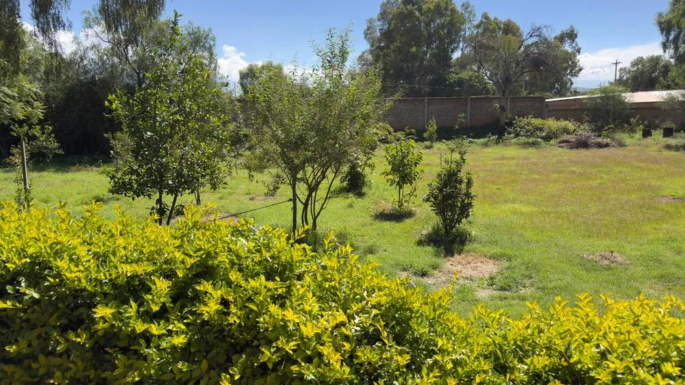 Foto 6 de 🏡 Amplio Terreno Comercial con Construcción en Sipe Sipe