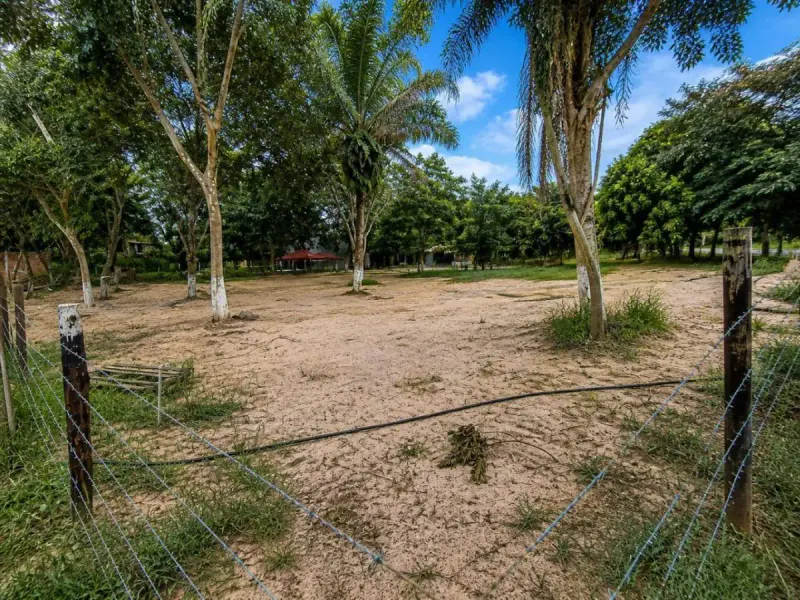 Foto 6 de Terreno en Alquiler