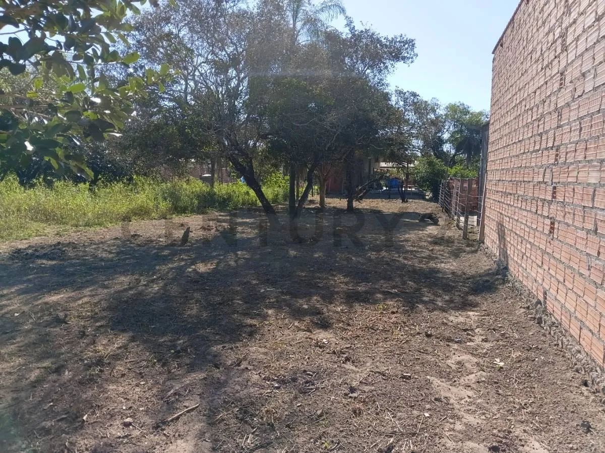 Foto 2 de Terreno en Venta en Montero