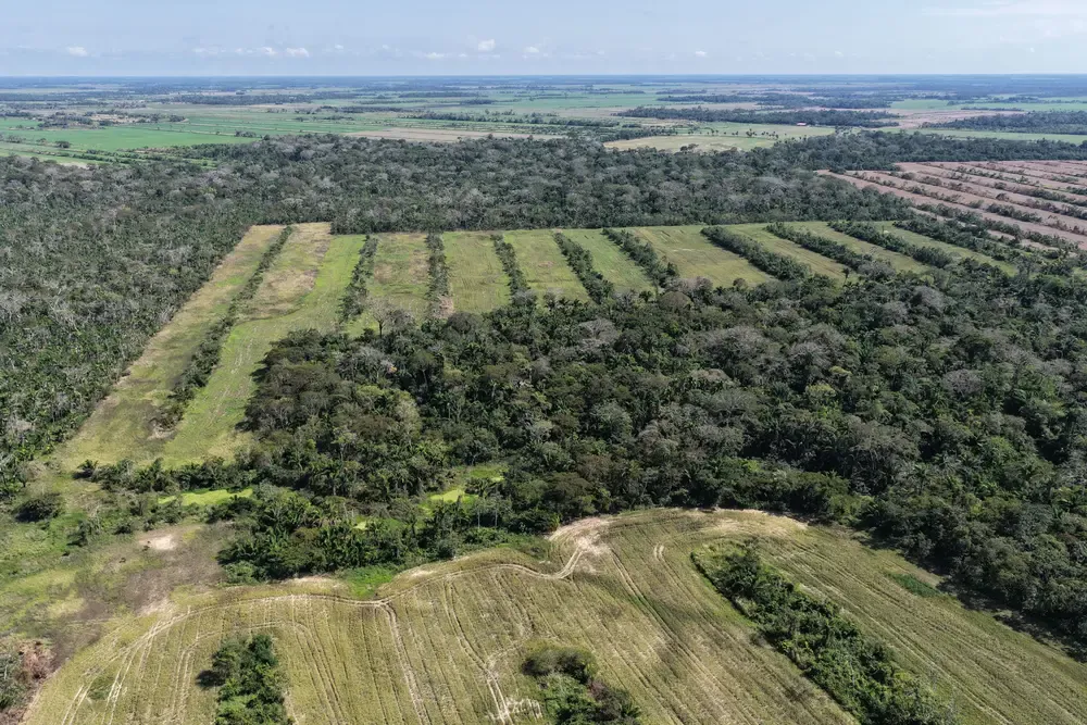 Foto 3 de Propiedad Agrícola y Ganadera en Venta – Santa Rosa de Sara