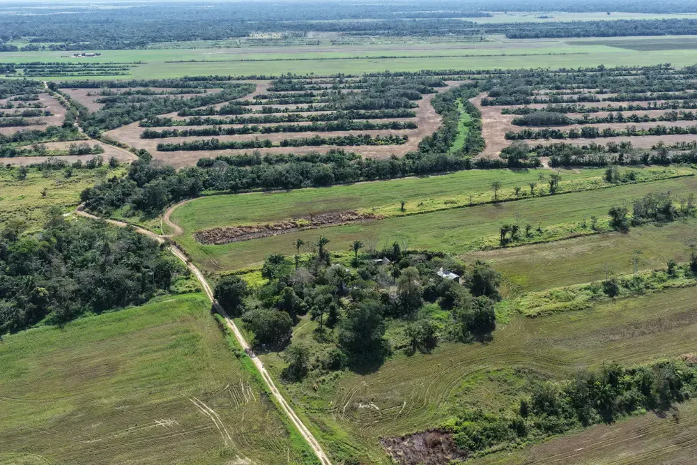 Foto 1 de Propiedad Agrícola y Ganadera en Venta – Santa Rosa de Sara