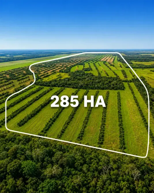 Foto 4 de Propiedad Agrícola y Ganadera en Venta – Santa Rosa de Sara