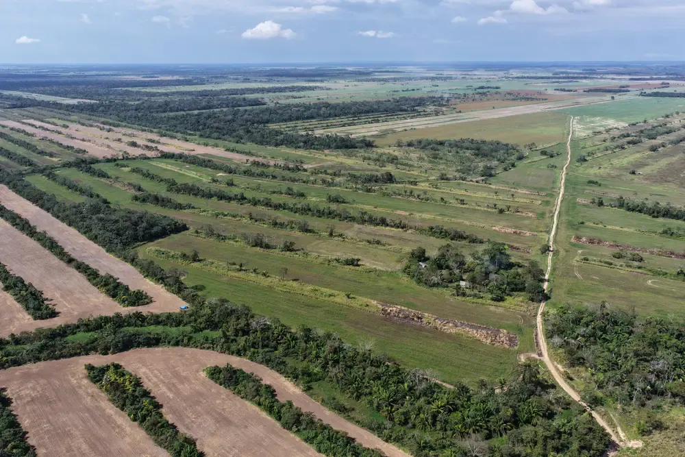 Foto 2 de Propiedad Agrícola y Ganadera en Venta – Santa Rosa de Sara