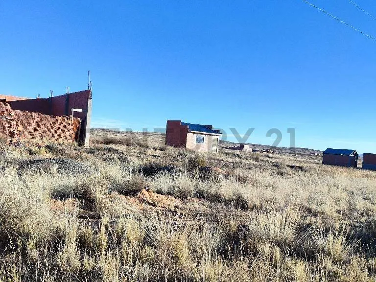 Foto 4 de Terreno con Doble Salida Sobre Carretera Laja-Desaguadero