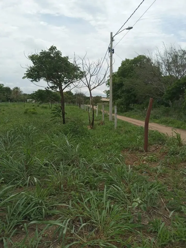 Foto 3 de Terreno en venta en Puerto Quijarro