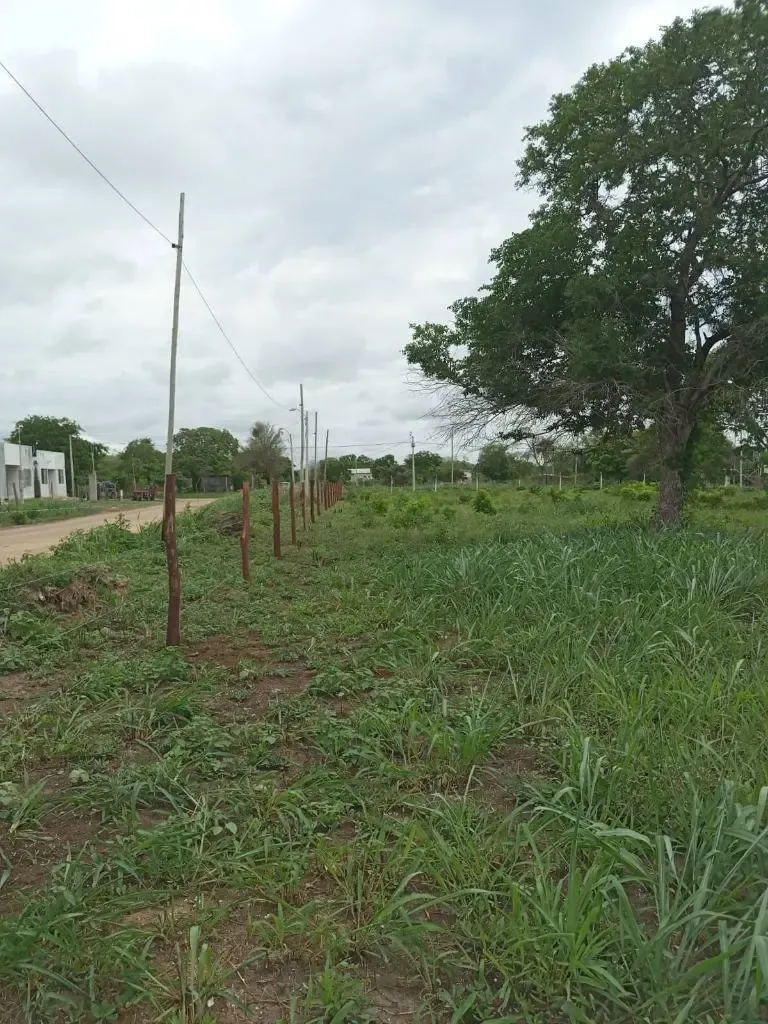 Foto 4 de Terreno en venta en Puerto Quijarro