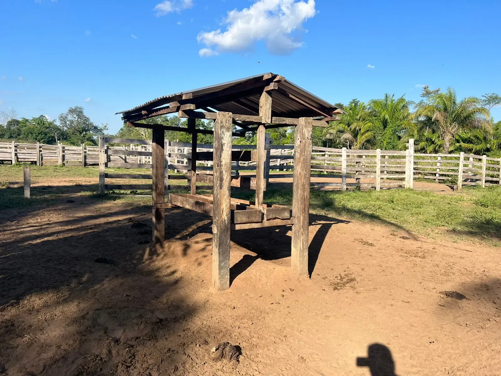 Foto 3 de En Venta 500 Hectáreas Sobre Carretera asfaltada – 40 kms Guayaramerin