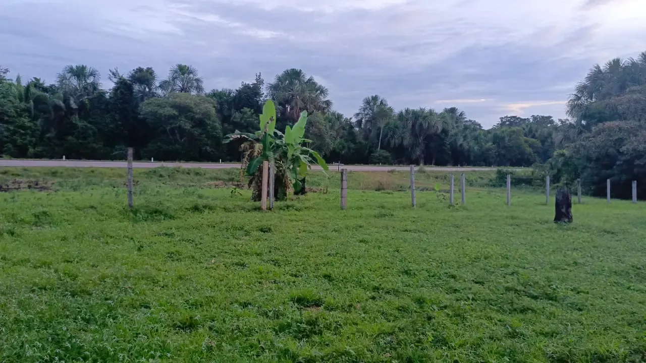 Foto 1 de En Venta 500 Hectáreas Sobre Carretera asfaltada – 40 kms Guayaramerin