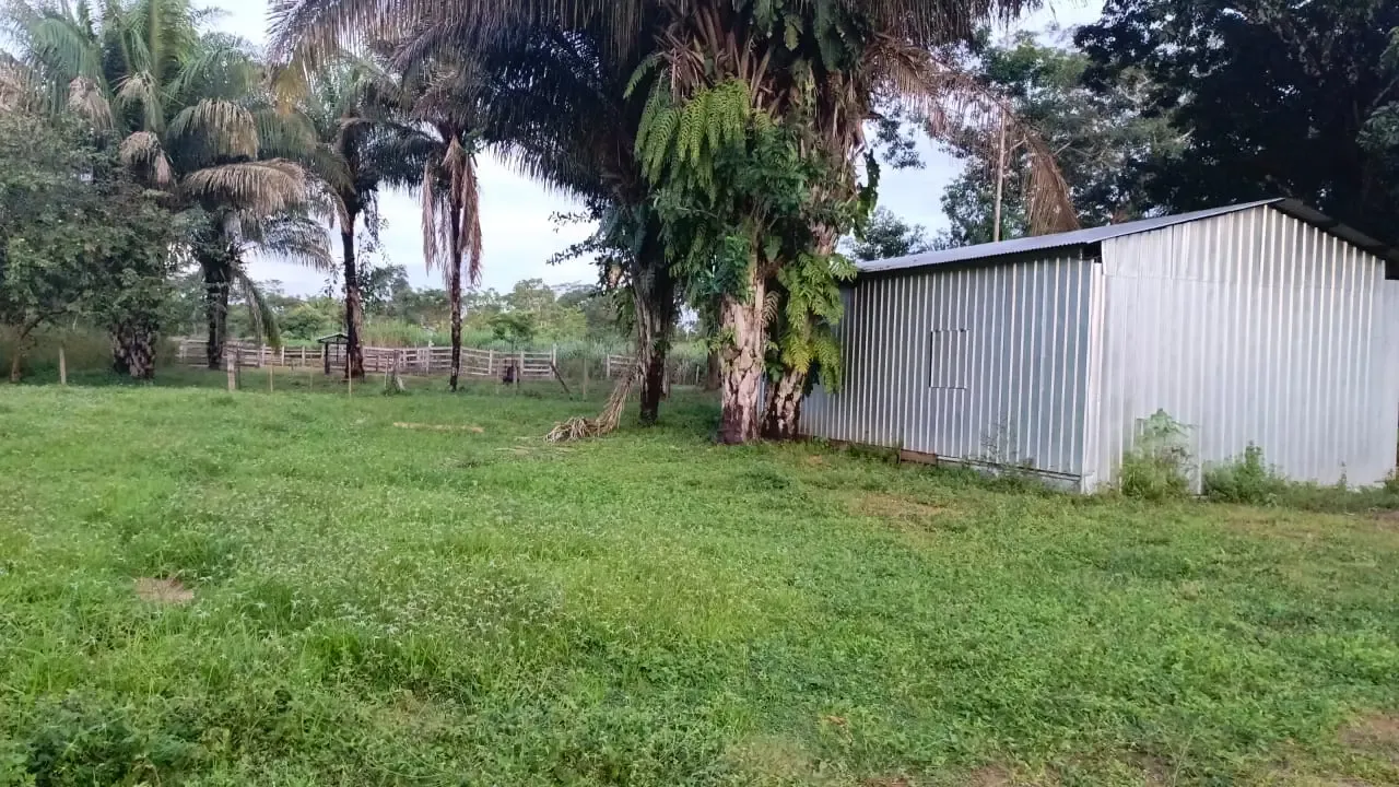 Foto 2 de En Venta 500 Hectáreas Sobre Carretera asfaltada – 40 kms Guayaramerin