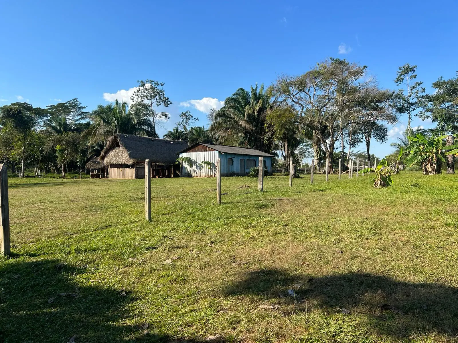 Foto 4 de En Venta 500 Hectáreas Sobre Carretera asfaltada – 40 kms Guayaramerin