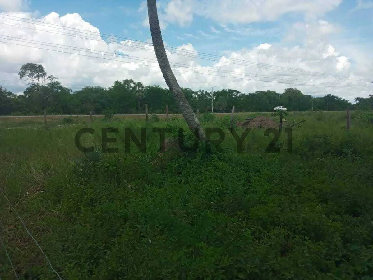 Foto 2 de Terreno en Venta