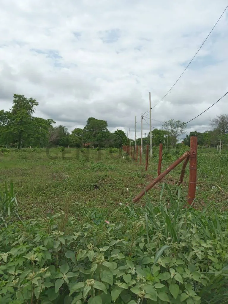 Foto 5 de Terrenos en Venta – Puerto Quijarro Provincia Germán Busch – Av. El Carmen
