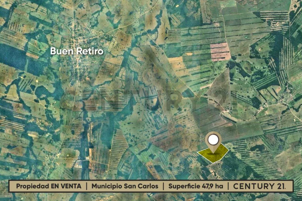 Foto 3 de 47.9 Hectáreas Agrícolas en Venta – San Carlos
