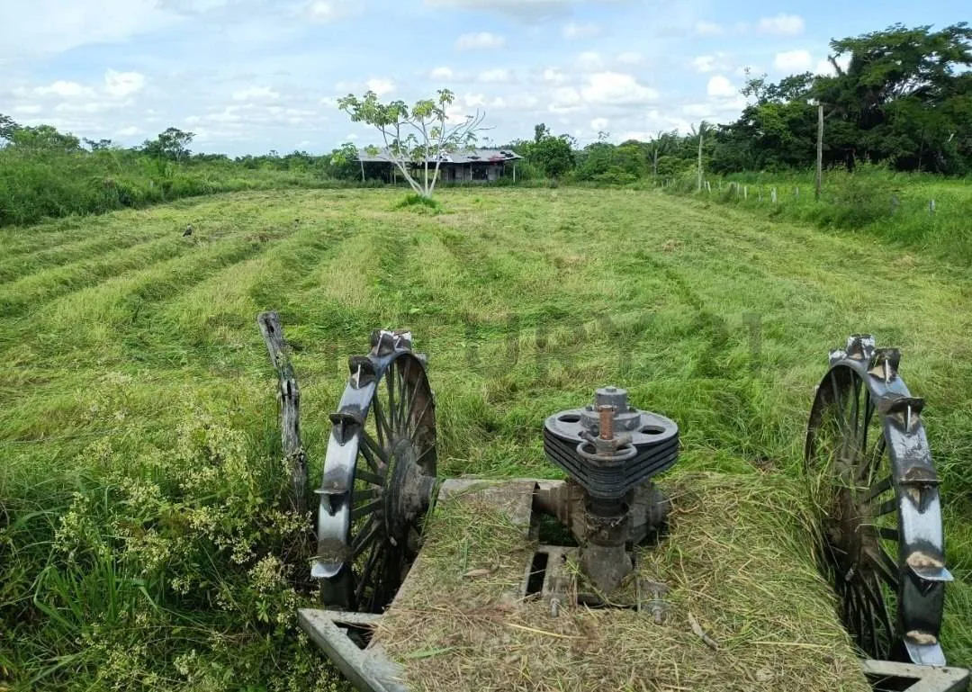 Foto 4 de 47.9 Hectáreas Agrícolas en Venta – San Carlos