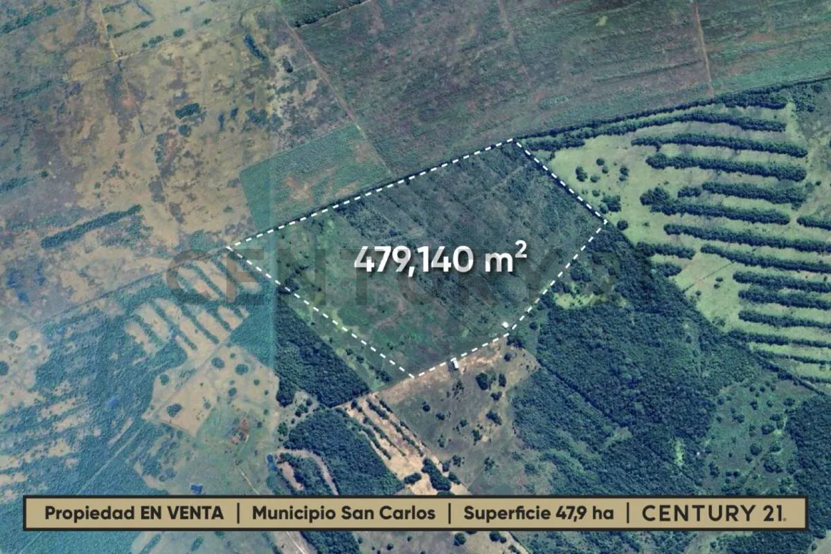 Foto 2 de 47.9 Hectáreas Agrícolas en Venta – San Carlos