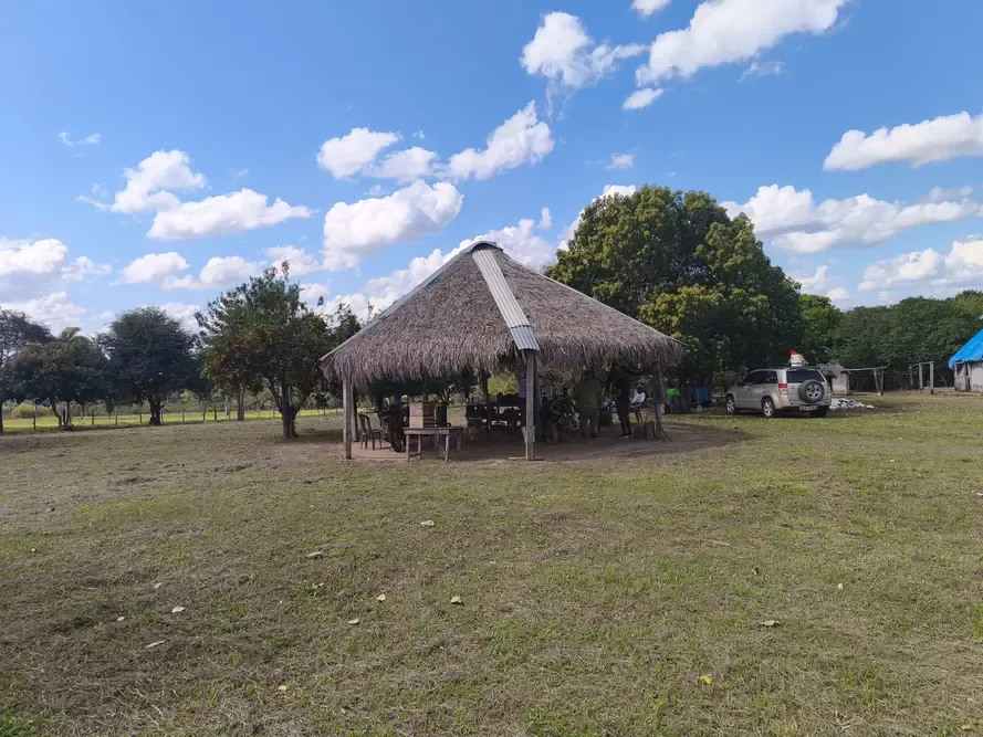 Foto 10 de Propiedad Ganadera en Venta – Guarayos 300 Hectareas