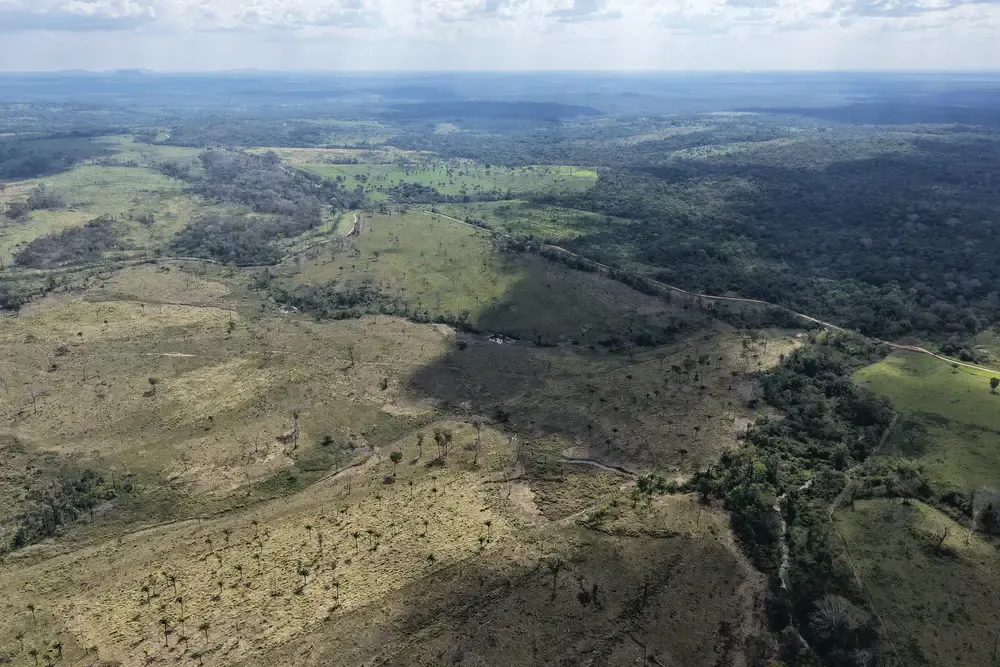 Foto 4 de Propiedad Ganadera en Venta – Guarayos 300 Hectareas