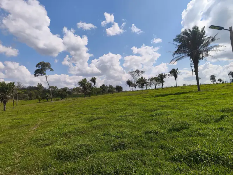 Foto 9 de Propiedad Ganadera en Venta – Guarayos 300 Hectareas