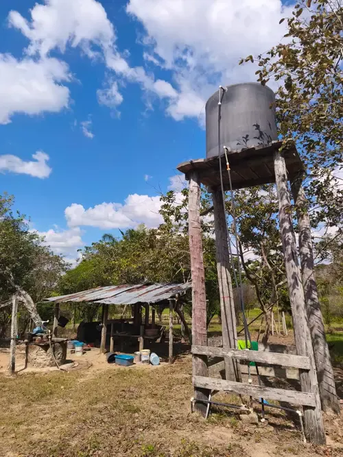 Foto 6 de Propiedad Ganadera en Venta – Guarayos 300 Hectareas