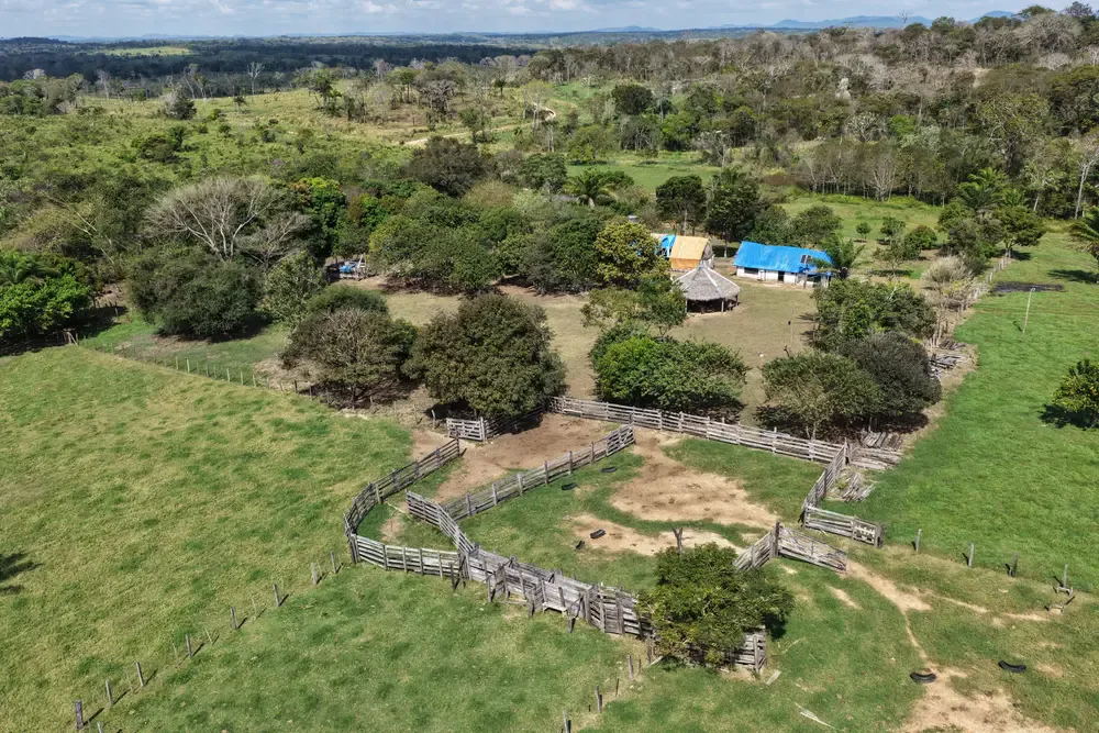 Foto 1 de Propiedad Ganadera en Venta – Guarayos 300 Hectareas