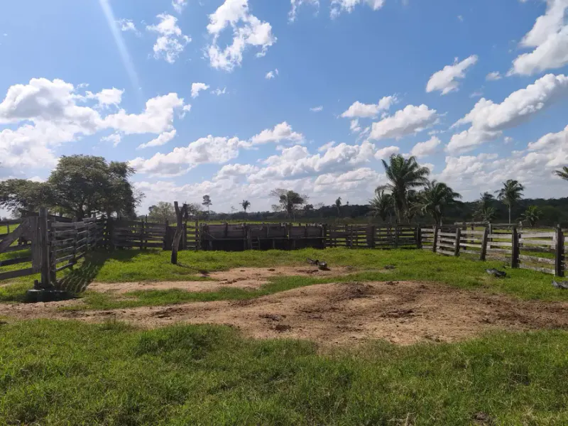 Foto 8 de Propiedad Ganadera en Venta – Guarayos 300 Hectareas