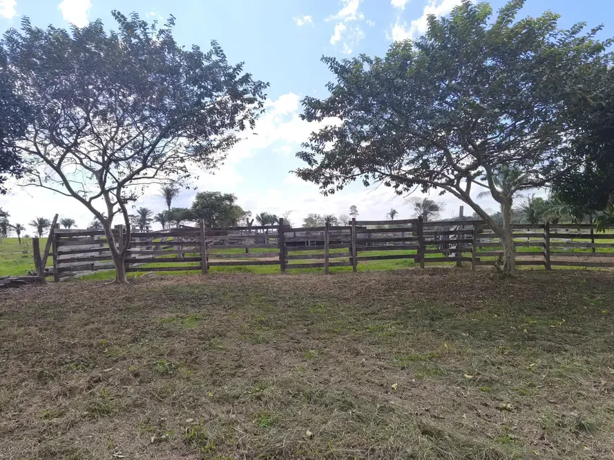 Foto 7 de Propiedad Ganadera en Venta – Guarayos 300 Hectareas