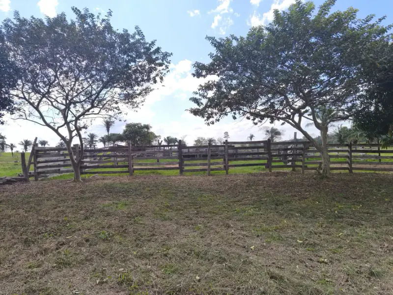 Foto 7 de Propiedad Ganadera en Venta – Guarayos 300 Hectareas