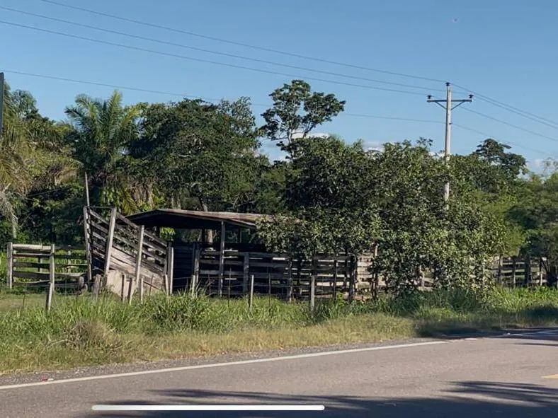 Foto 4 de Lechería Consolidada Sobre Carretera Asfaltada Tdd-Scz