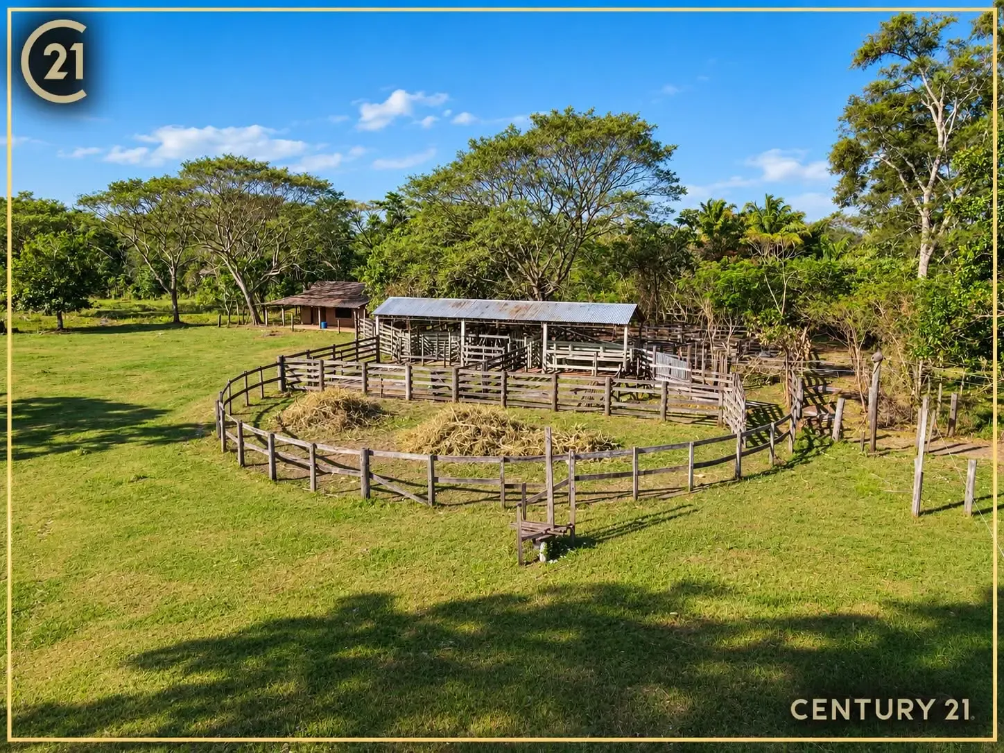 Foto 2 de En Venta | Propiedad Productiva en Portachuelo
