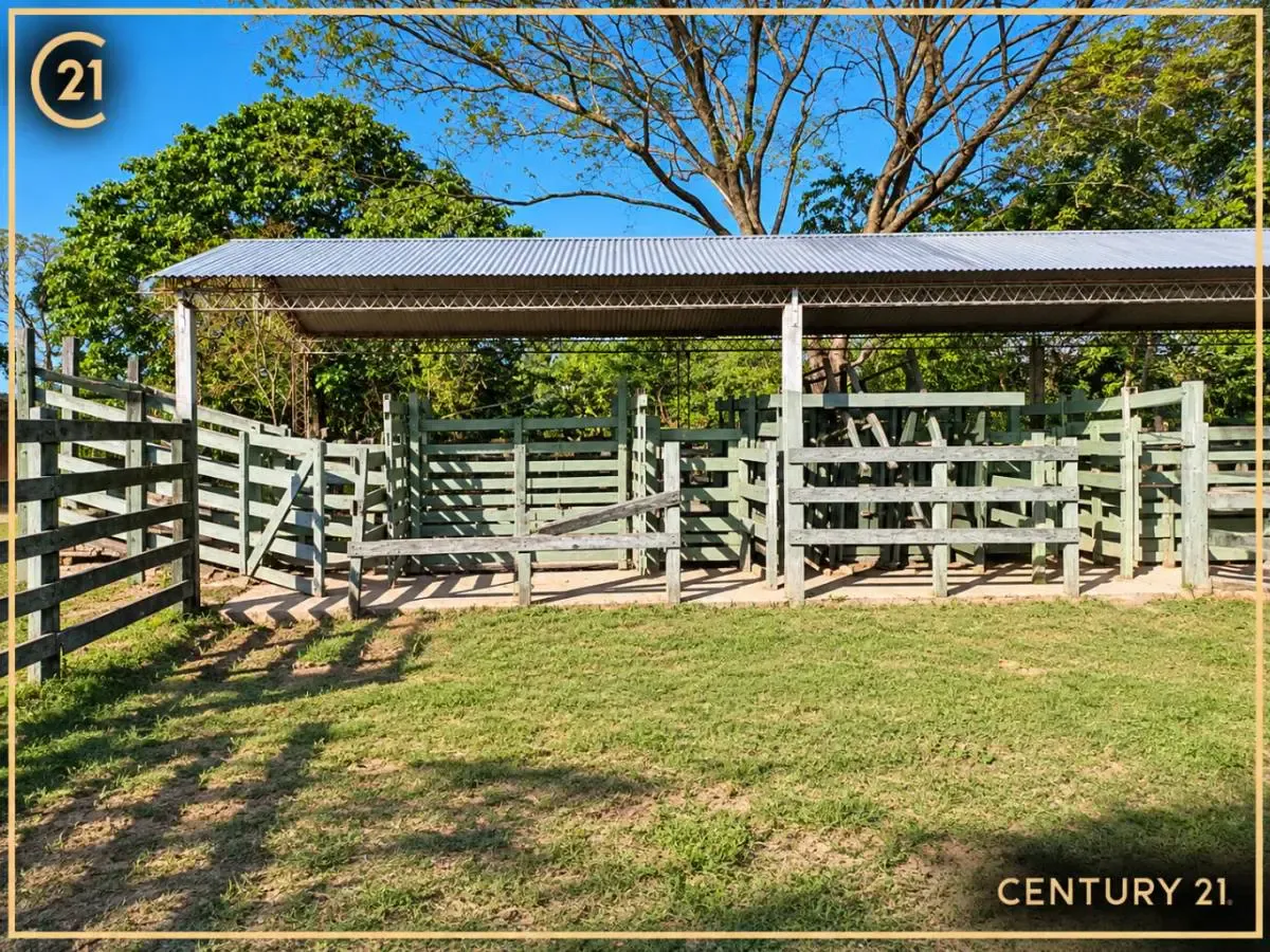 Foto 3 de En Venta | Propiedad Productiva en Portachuelo