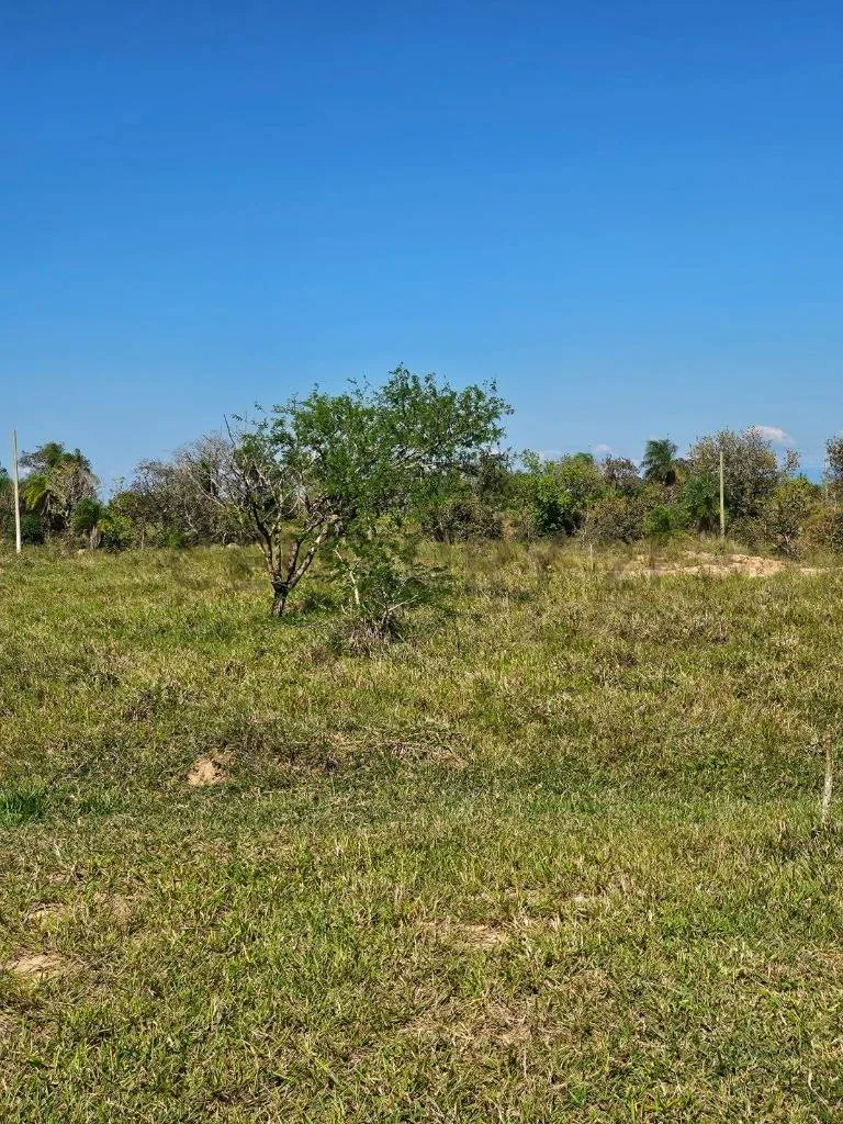 Foto 2 de Terreno en Venta - Urbanización El Edén del Urubo Colpabelgica
